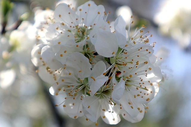 Kreisdiagramm Energieverteilung Heizung Wasser Strom Anteil